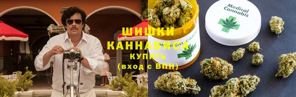прущие грибы Аркадак