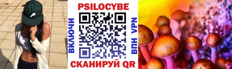 blacksprut зеркало  Кохма  Галлюциногенные грибы GOLDEN TEACHER 