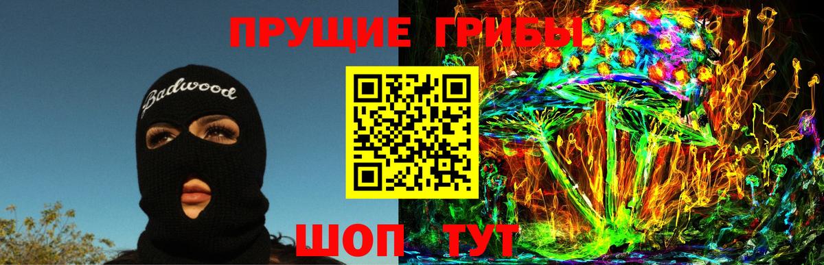 Кохма  как найти закладки  Вход с VPN  Галлюциногенные грибы Psilocybe 