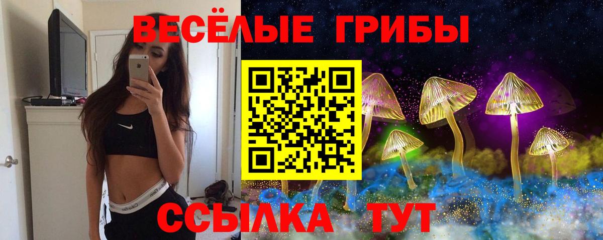 Псилоцибиновые грибы Psilocybine cubensis Кохма